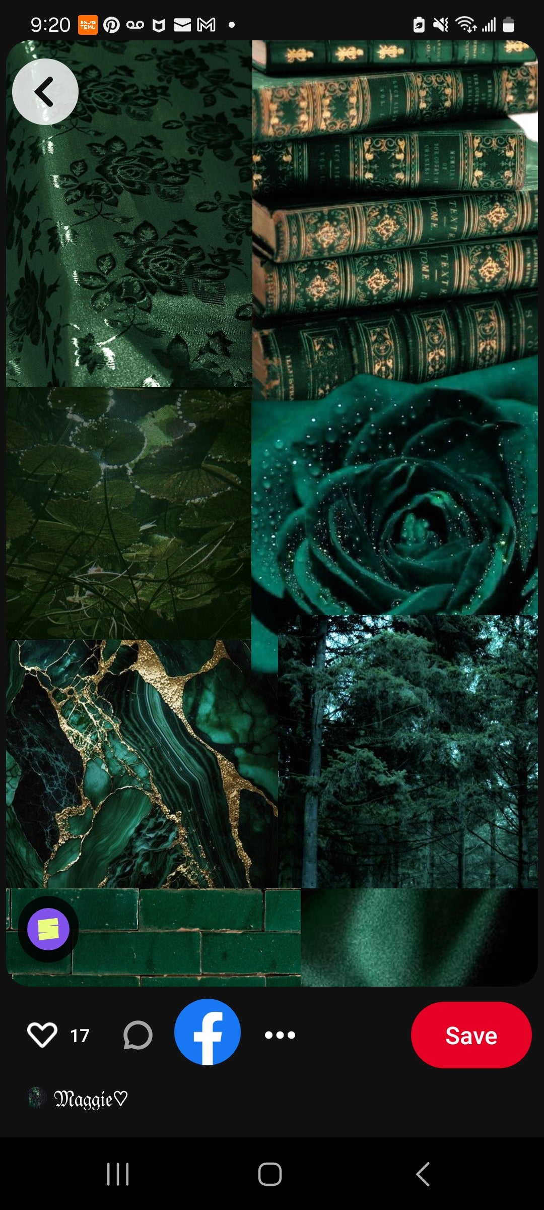 Rooted Collection